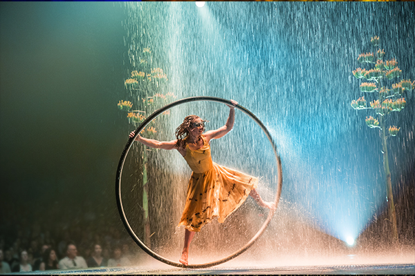 Cirque du Soleil and the Chamber Bring to You an Exclusive Discount!