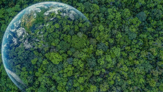 IDB and Brazilian banks announce development of Amazon rainforest ETF
