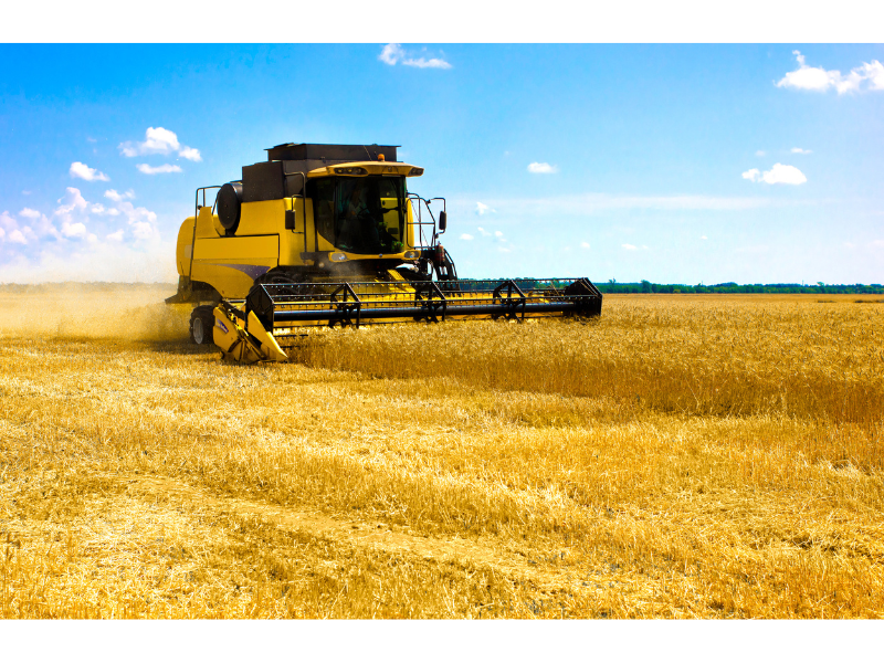 Southern Brazil reaps record soy to offset center-west crop failure
