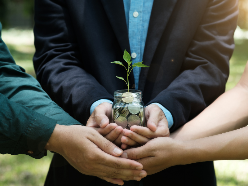 Carbon market creates new job opportunities in Brazil