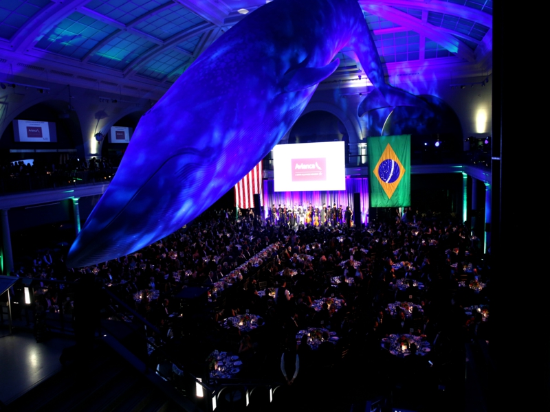 business Archives - Brazilian-American Chamber of Commerce