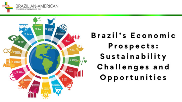 brazil economic development case study